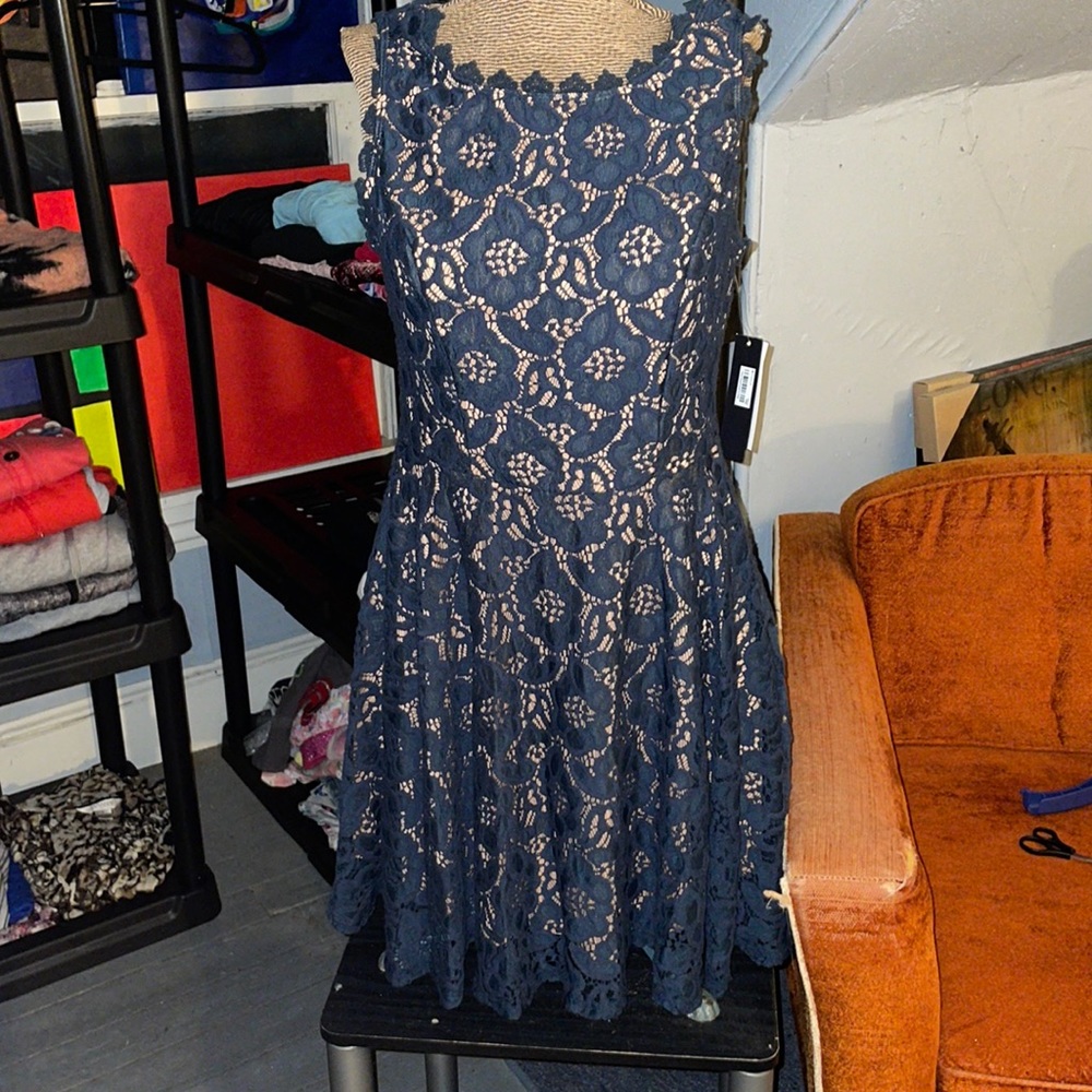 Navy blue and tan  Lace dress